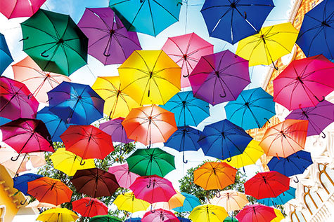 3LCD方式とエプソンのレーザー光学エンジンによる明るく鮮やかな映像。