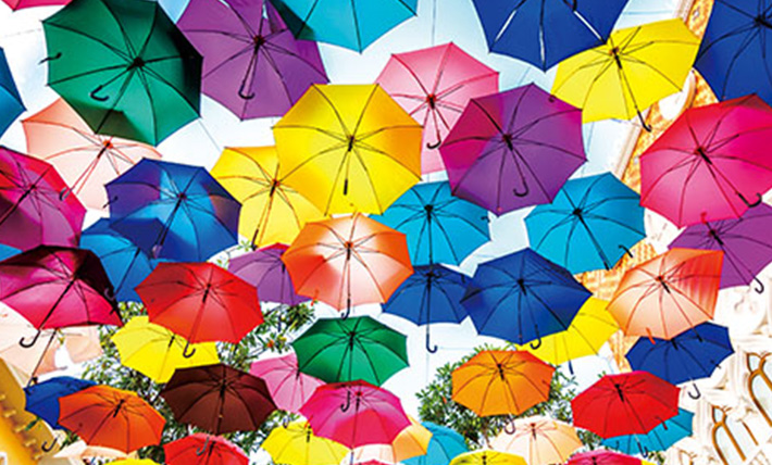 3LCD方式とエプソンの光学技術による明るく鮮やかな映像