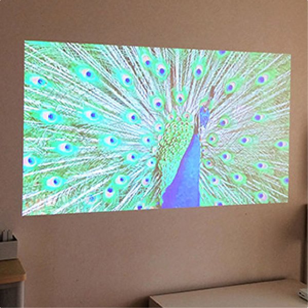 孔雀の投写イメージ