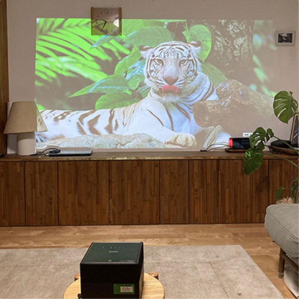 虎の投写イメージ