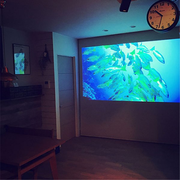 魚の投写イメージ