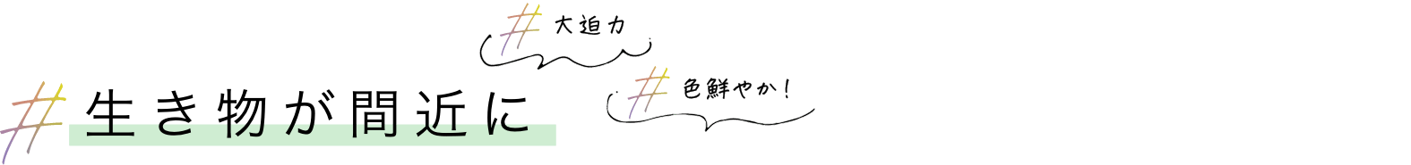 生き物も間近に 大迫力 色鮮やか！