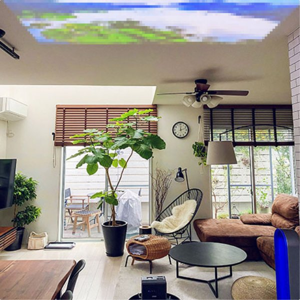 自然の天井投写イメージ