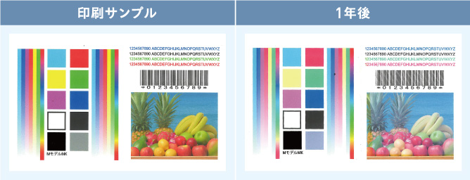 印刷サンプル画像、1年後画像