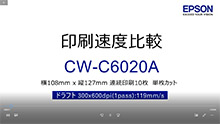 CW-C6020（4インチ幅）ドラフト_1pass（300x600dpi,119mm/s）