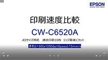 CW-C6520（8インチ幅）きれい_6pass（600x1200dpi,13mm/s）