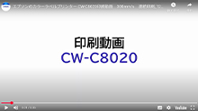 CW-C8020連続印刷速度　300mm/s