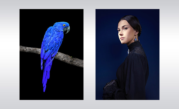 写真印刷に最適な、高度な色再現力