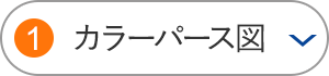 カラーパース図