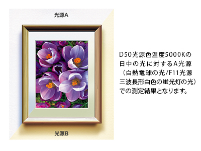 D50光源色温度5000Kの日中の光に対するA光源（白熱電球の光/F11光源三波長形白色の蛍光灯の光）での測定結果となります。