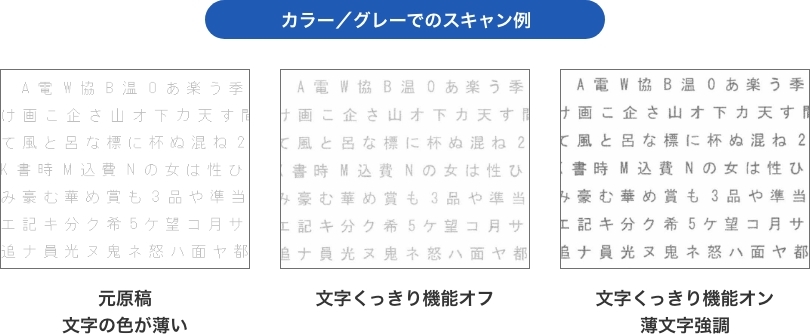 カラー／グレーでのスキャン例