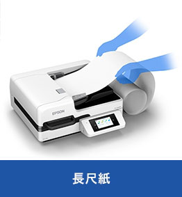 長尺紙