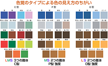 色覚のタイプによる色の見え方のちがい