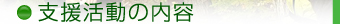 支援活動の内容