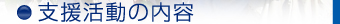 支援活動の内容