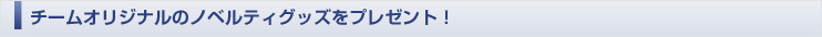 チームオリジナルのノベルティグッズをプレゼント！