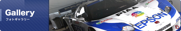 フォトギャラリー