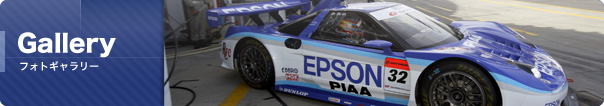 フォトギャラリー