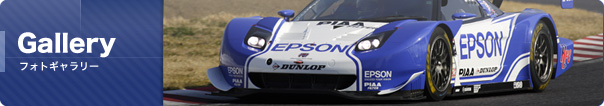 フォトギャラリー