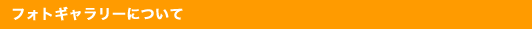 フォトギャラリーについて
